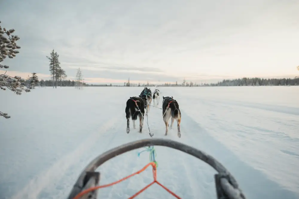 janosch-diggelmann-4OfsyY4n9k0-unsplash